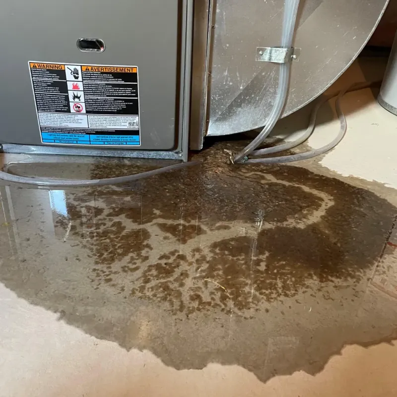 Appliance Leak Cleanup in Fort Wright, KY