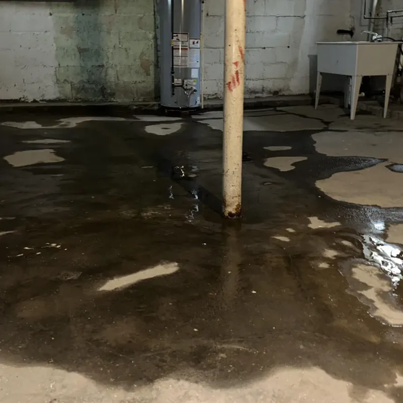 Emergency Water Extraction And Removal in Fort Wright, KY